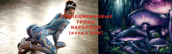 амф Аркадак