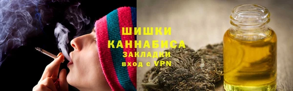 амф Аркадак