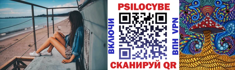 Галлюциногенные грибы Psilocybe  купить закладку  блэк спрут как зайти  Карабулак 
